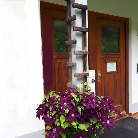 Ferienapartment 38 Sonnenwald Oberlangfurth 外观 照片