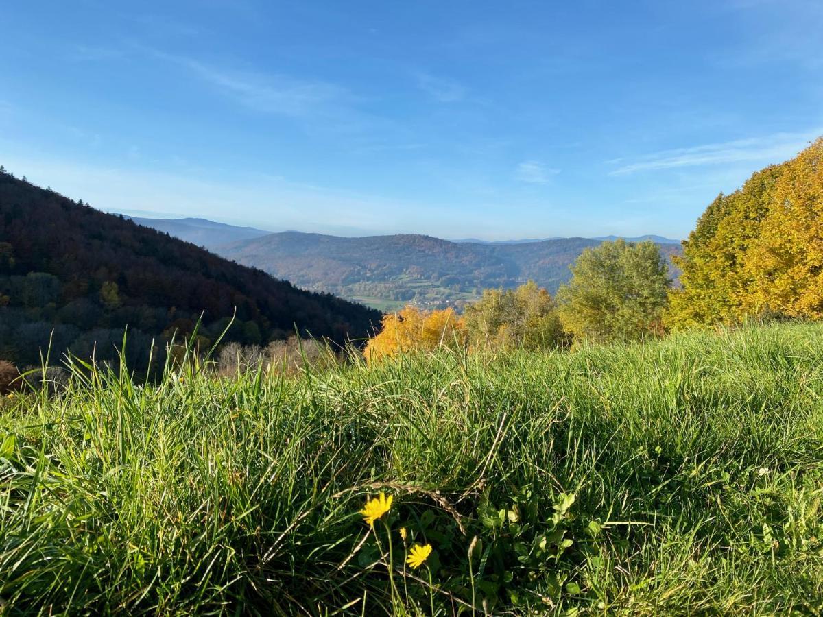 Ferienapartment 38 Sonnenwald Oberlangfurth 外观 照片