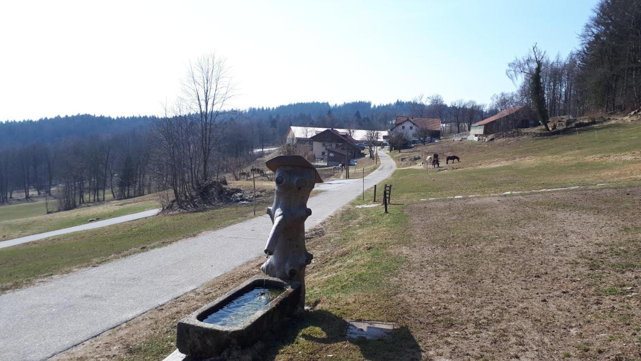 Ferienapartment 38 Sonnenwald Oberlangfurth 外观 照片