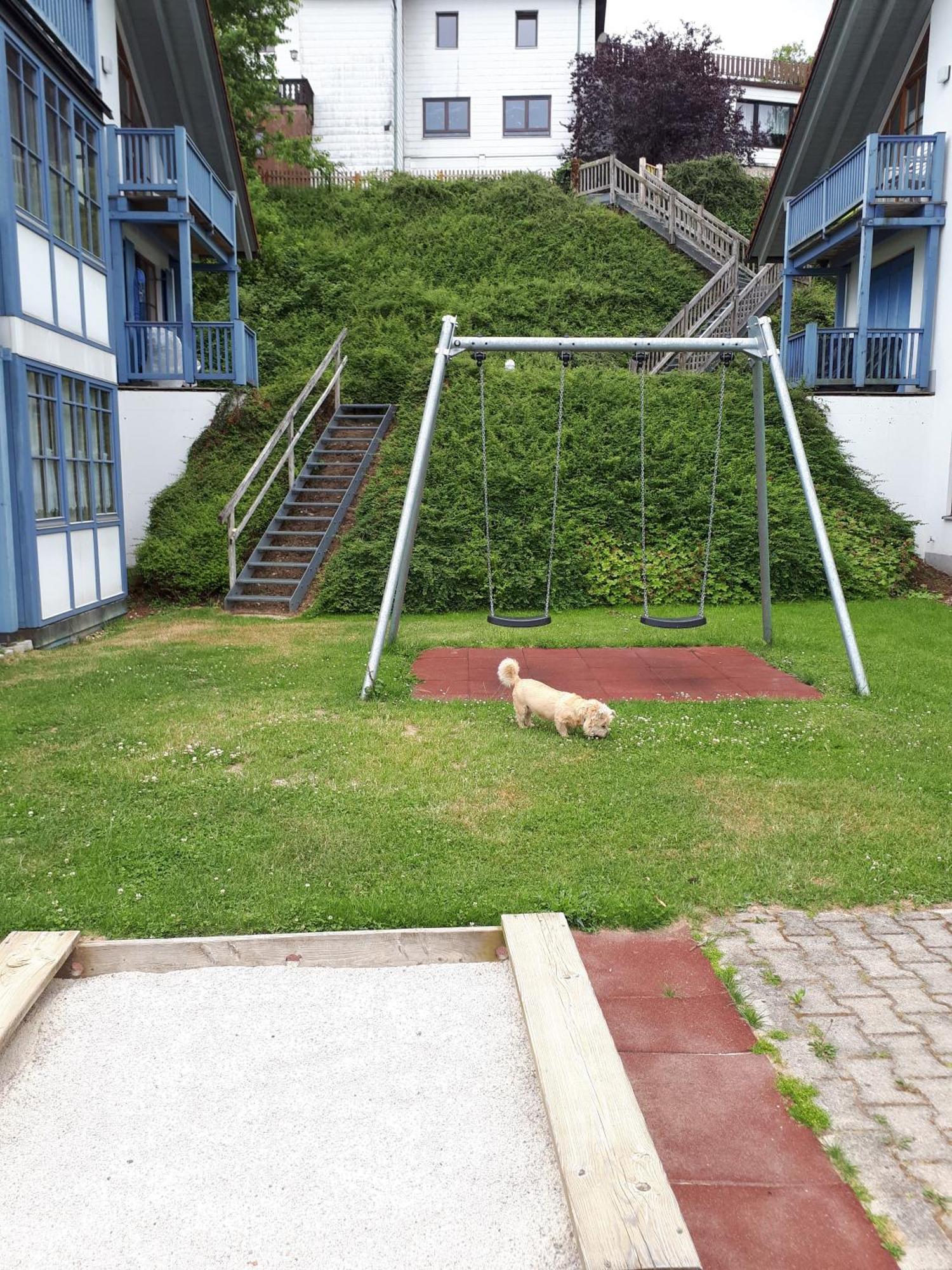 Ferienapartment 38 Sonnenwald Oberlangfurth 外观 照片