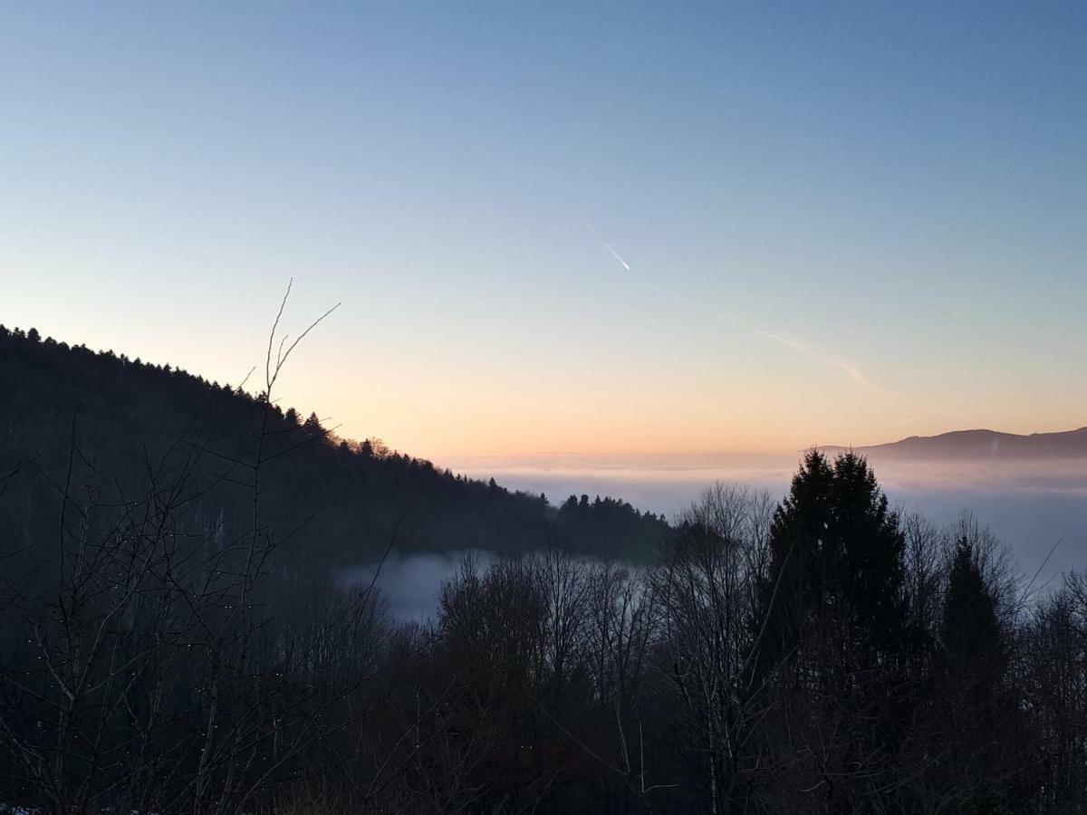 Ferienapartment 38 Sonnenwald Oberlangfurth 外观 照片